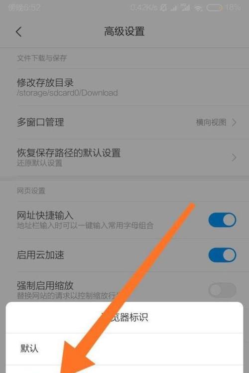 如何优化电脑浏览器的速度？（快速浏览网页的关键技巧与方法）