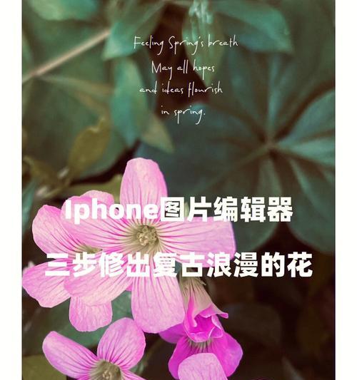 探索苹果手机之美（从线条到细节，解密苹果手机设计之道）