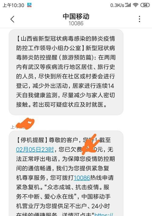 移动停机如何影响人们的生活？（探讨移动停机对社会、经济和个人的影响）