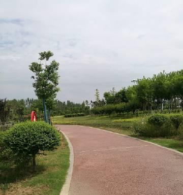 如何辨别华为P9的真伪（识别真伪，保障购买安全）