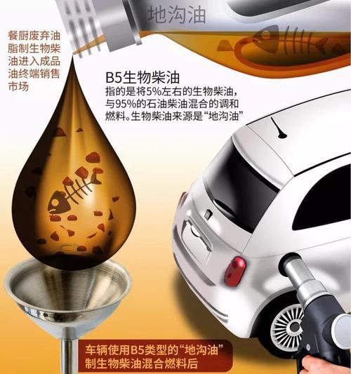 如何准确分辨地沟油？（掌握分辨地沟油的关键方法，远离食品安全隐患）