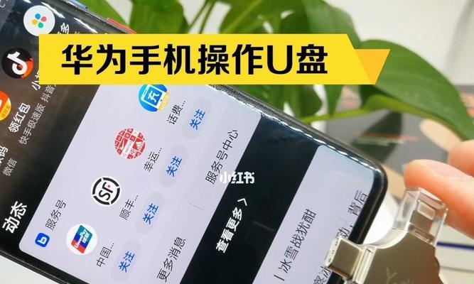 苹果U盘分区教程（教你如何在苹果设备上正确地进行U盘分区操作）