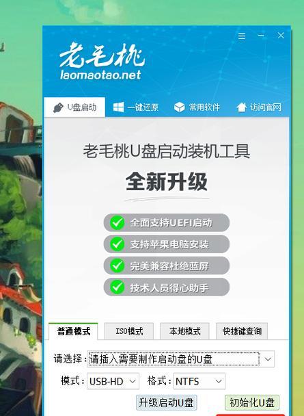 解决无法进入peu盘装系统问题的方法（一步步教你解决无法进入peu盘装系统的困扰）