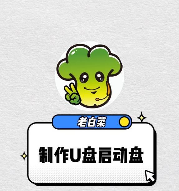 大白菜安装u盘教程（详细指导安装u盘的步骤及解决常见问题）