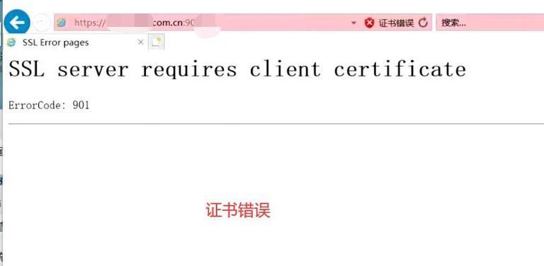 如何解决电脑上网时的证书错误问题（简单有效的解决方案，让你安心上网）