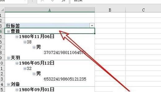 电脑插入Excel显示错误的解决方法（如何应对电脑插入Excel时出现的显示错误）