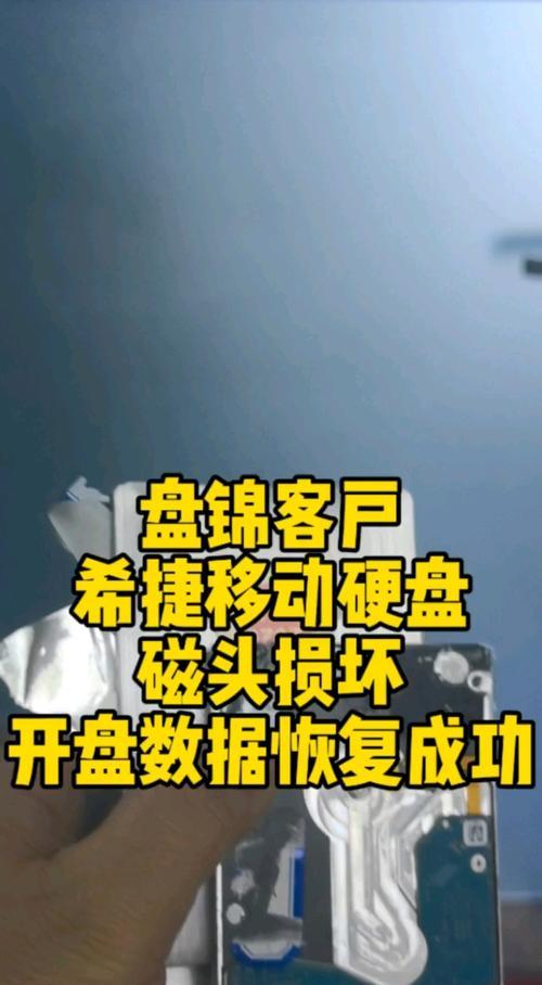 希捷硬盘磁头屏蔽技术的研究与应用（保护数据安全的关键一步，希捷硬盘磁头屏蔽技术解析）